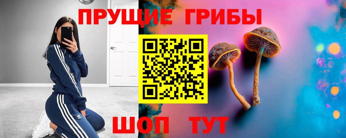 Псилоцибиновые грибы Cubensis Трёхгорный